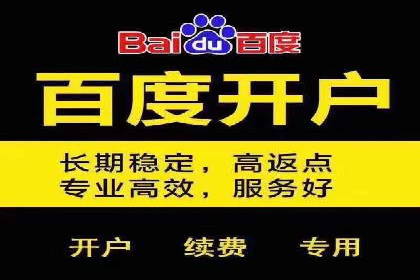 SEM代运营公司案例分析报告